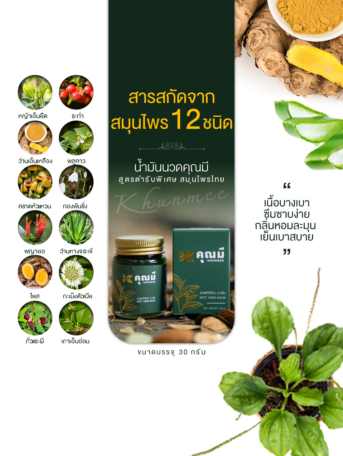 กรีนบาล์มคุณมี บาล์มสมุนไพร กลิ่นหอมอโรมา สูตรไพล 4